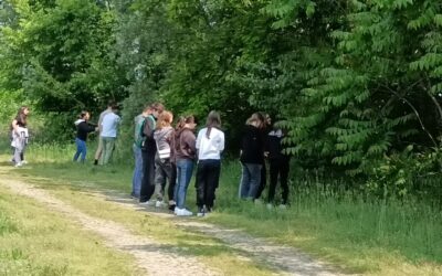 Akcija “ALIEN Bioblitz”