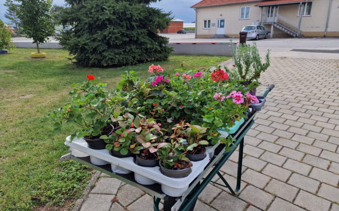 Zahvala Cvjetnom atelieru Magnolia